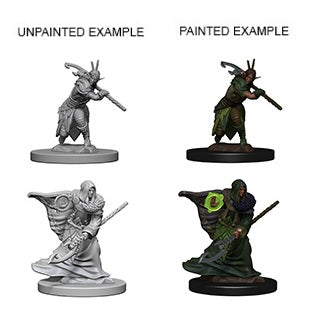 Nolzur's Marvelous Miniatures: Elf Male Druid
