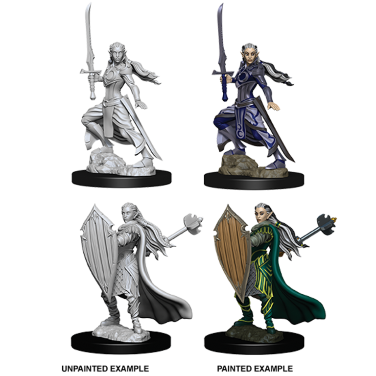 Nolzur's Marvelous Miniatures: Female Elf Paladin