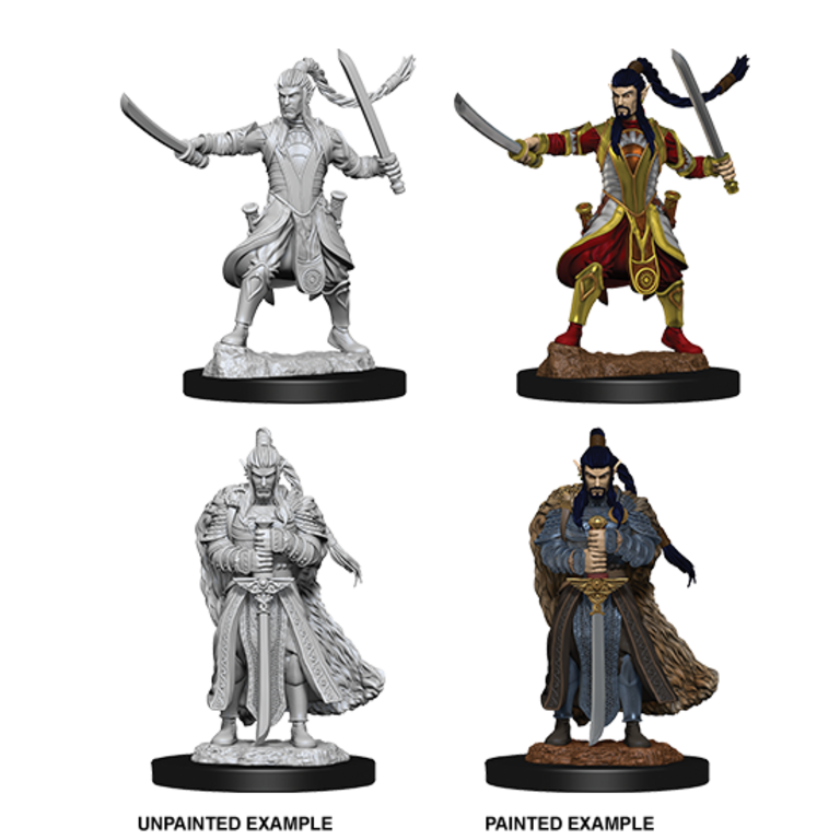 Nolzur's Marvelous Miniatures: Male Elf Paladin
