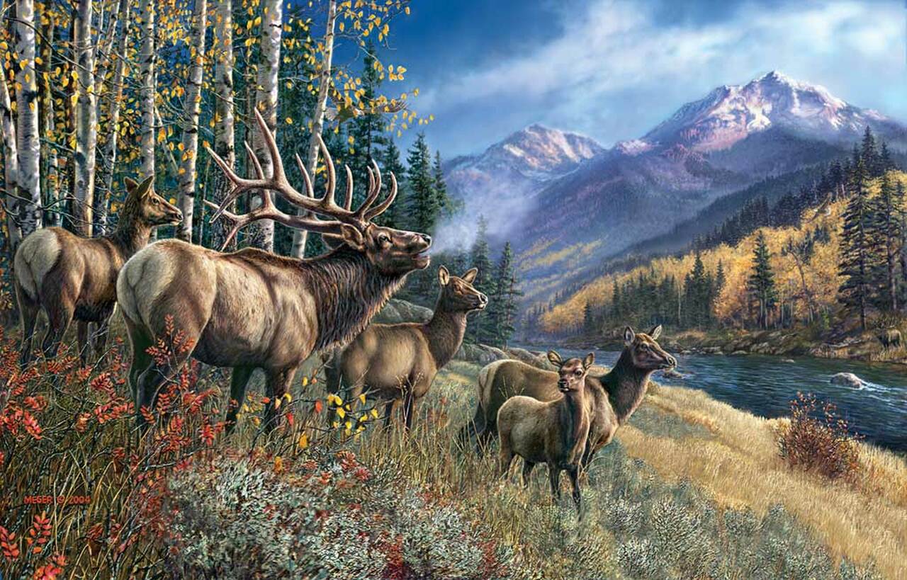 Elk Anthem - 1000pc Jigsaw Puzzle by Sunsout