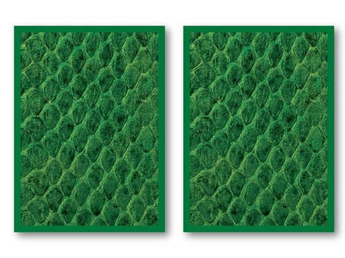 Legion Green Dragon Hide Standard 50ct Sleeves