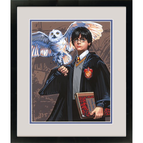 Harry & Hedwig, Paint by Number_73-91827