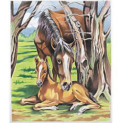 Color by Numbers Horse & Foal
