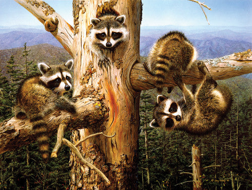 Balancing Act - 300pc Large Format