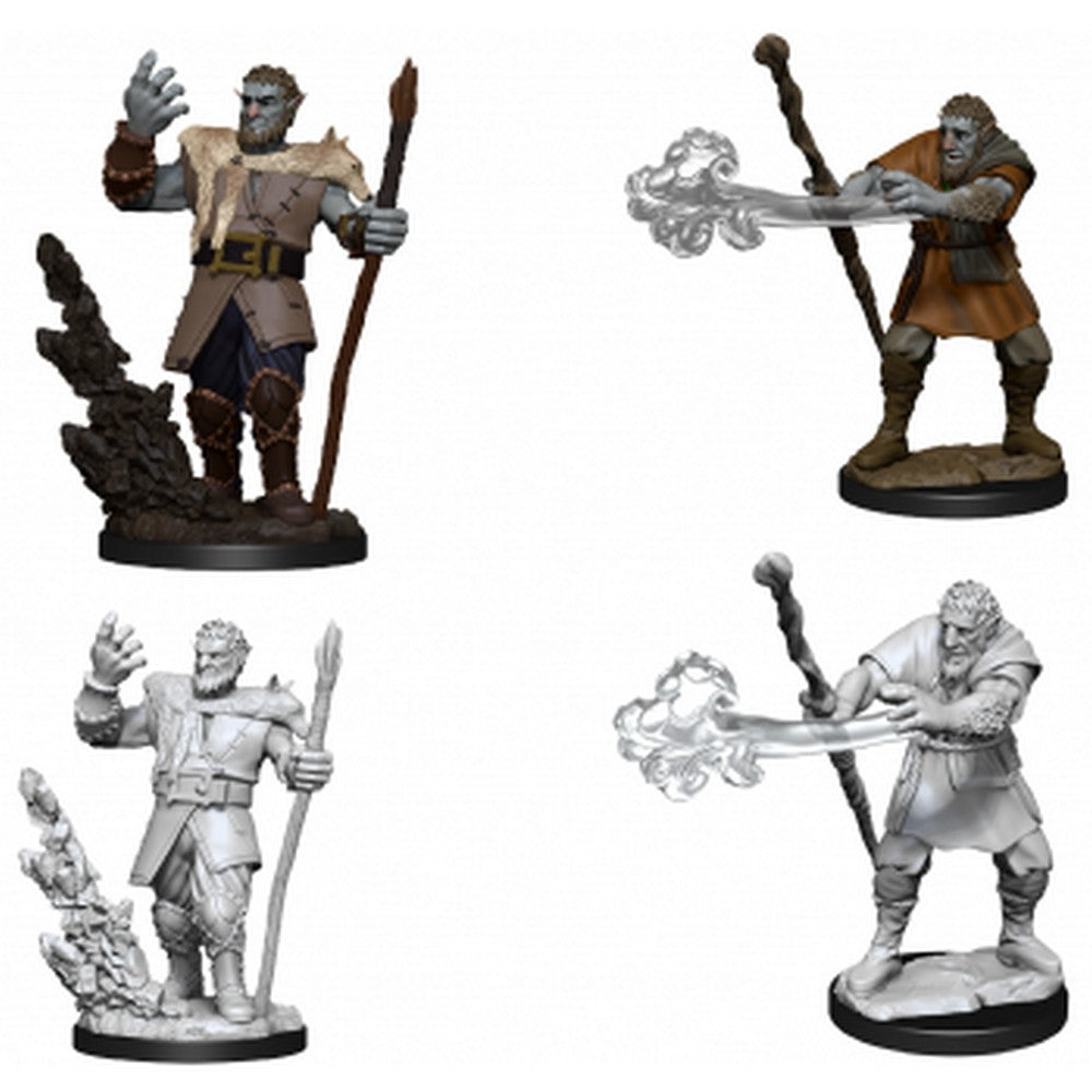 Nolzur's Marvelous Miniatures: Male Firbolg Druid