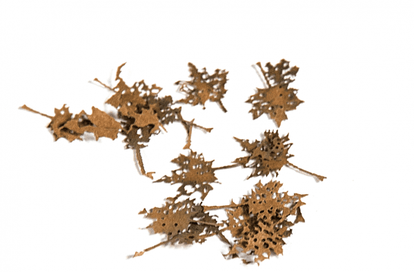 AK Interactive: MAPLE DEAD LEAVES 1:35 (TOP QUALITY)