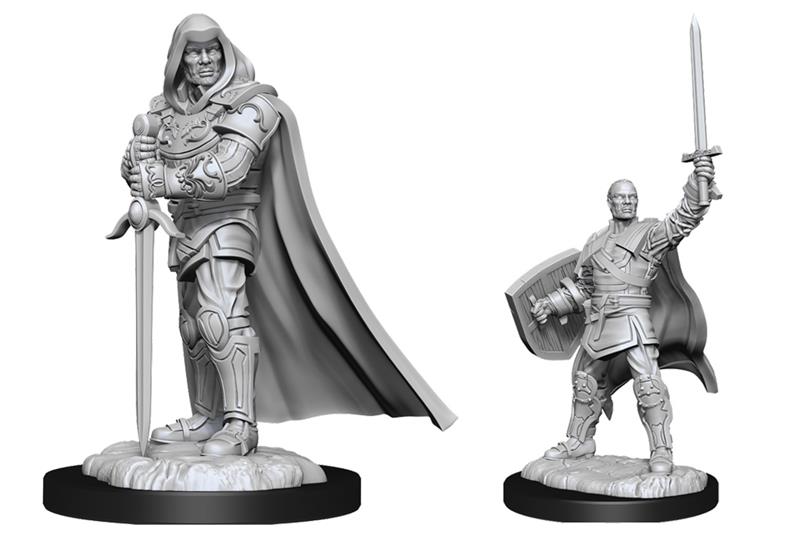 MALE HUMAN PALADIN