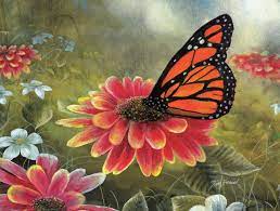Monarch Butterfly 500