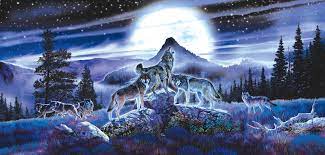 Night Wolves 1000