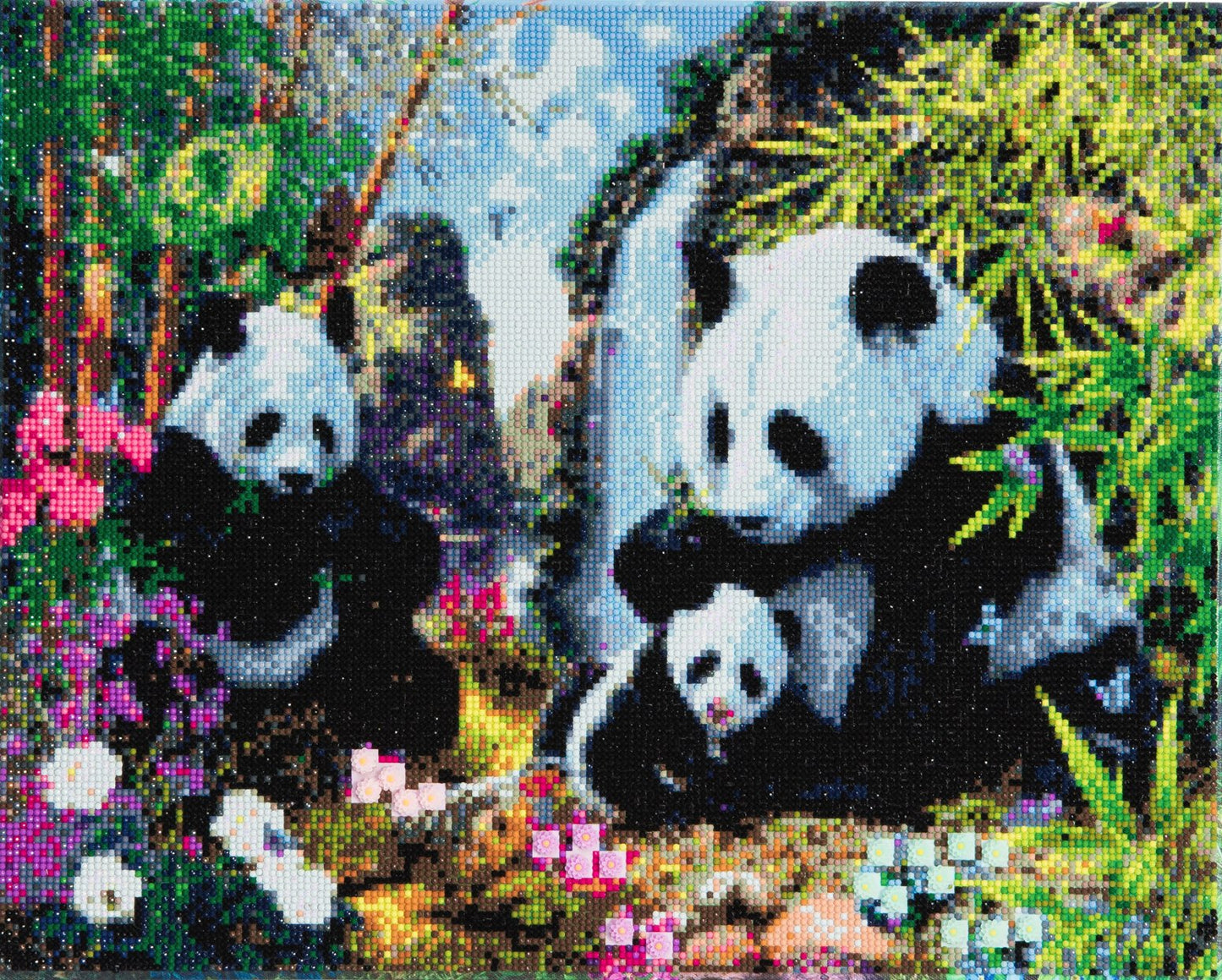 Craft Buddy Crystal Art Kit Panda Valley 40 x 50cm Pre-Framed 5D Art Kit