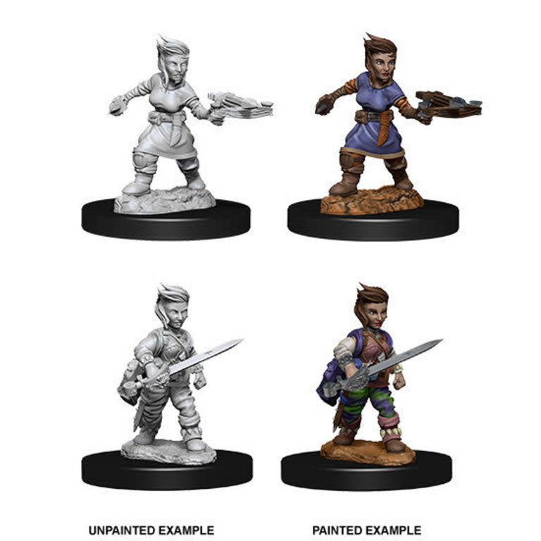 Pathfinder Female Halfling Rogue