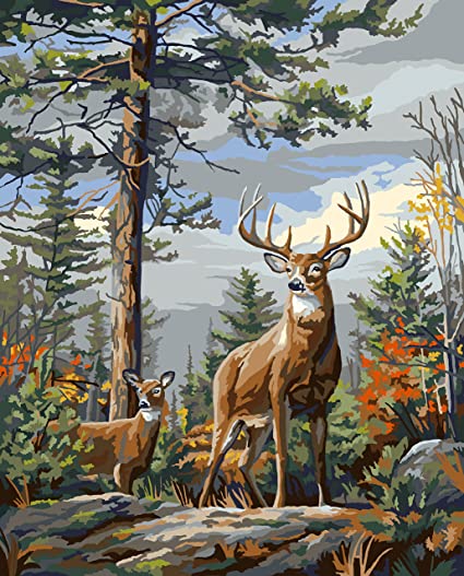 PAINT BY NUMBER - STANDING PROUD 20X16