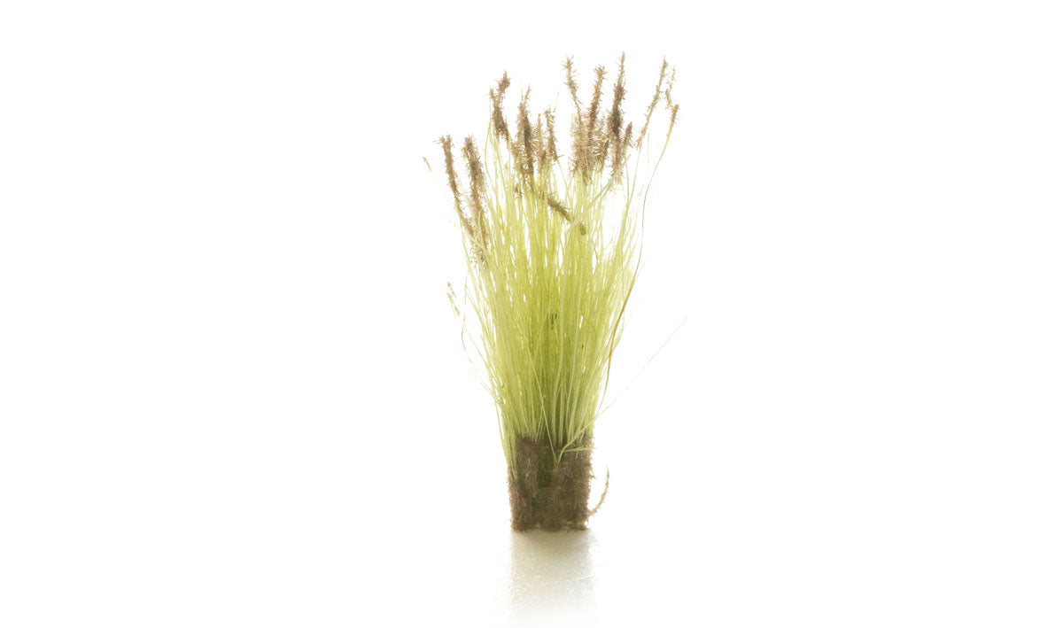 Light Green Prairie Grass SKU: FS779