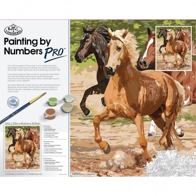 PAINT BY NUMBERS - Galloping Horse