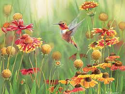 500pc Puzzle Cobble Hill Rufous Hummingbird