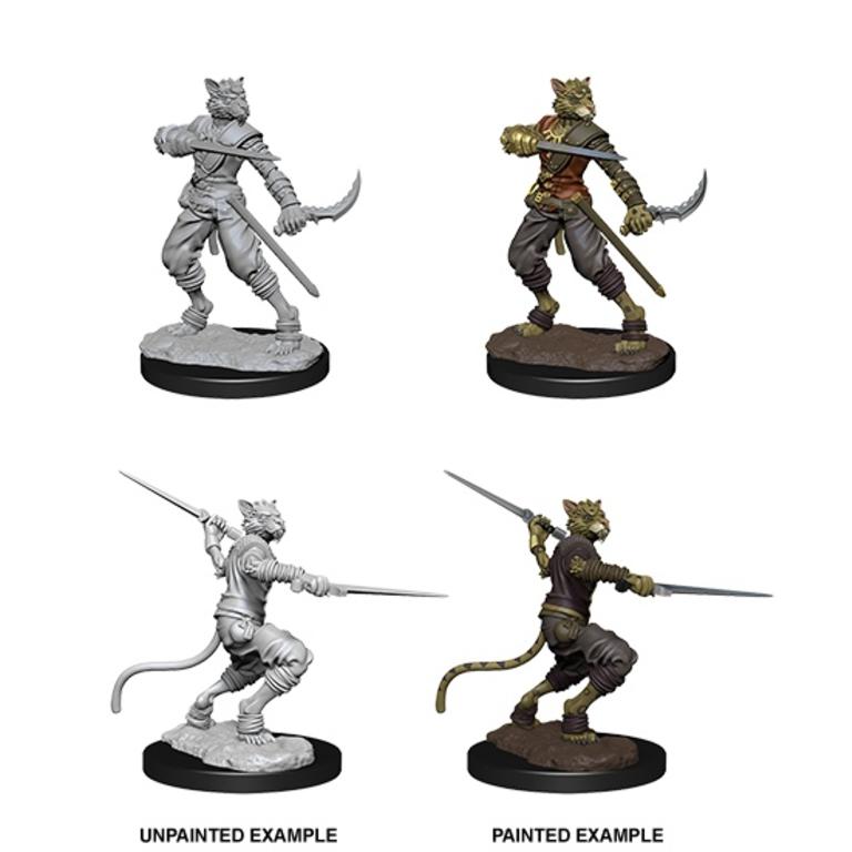 Nolzur's Marvelous Miniatures: Male Tabaxi Rogue
