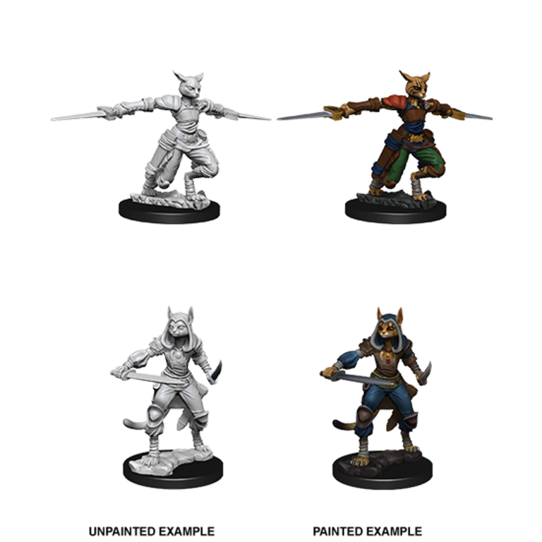 Nolzur's Marvelous Miniatures: Female Tabaxi Rogue