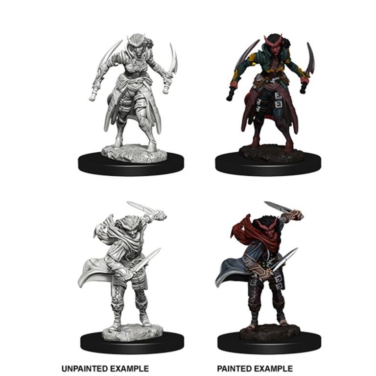 Nolzur's Marvelous Miniatures: Tiefling Female Rogue