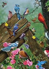 Cobble Hill Wildbird Gathering Tray Puzzle 35 pc