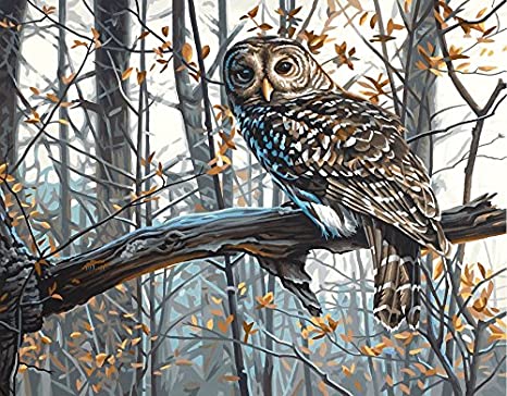 Paintworks® Wise Owl Paint-by-Number Kit