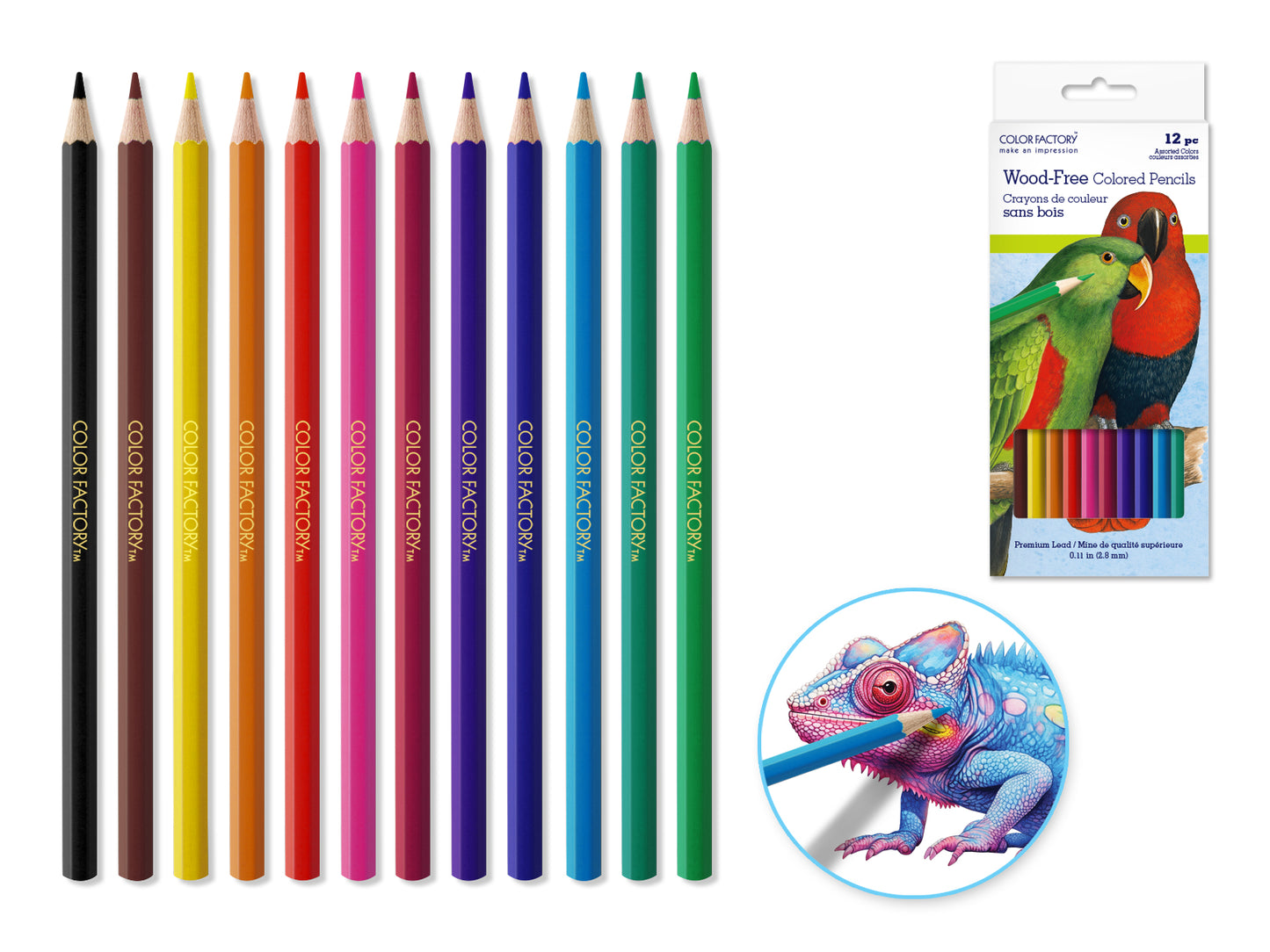 Color Factory Tool: Wood-Free Color Pencils x12 Premium 2.8mm Lead