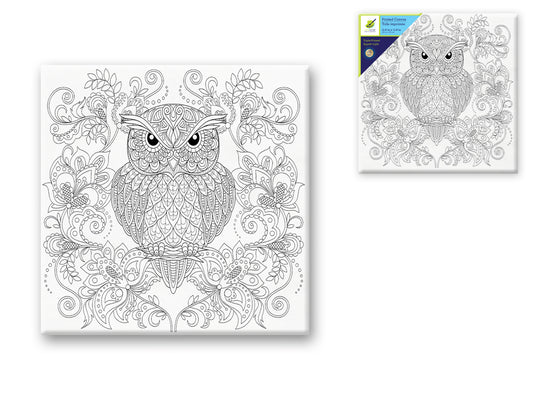 Stretch Artist Printed Canvas: 12"x12" Primed Back-Stapled Owl