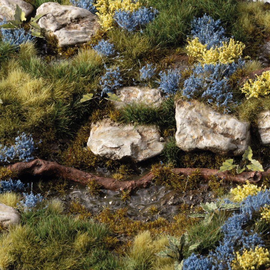 Gamers Grass Bluebeard Flowers