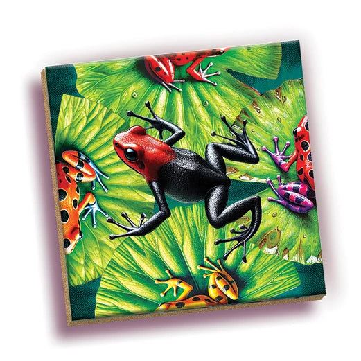 Magic Square Puzzle: Frogs (25pc)