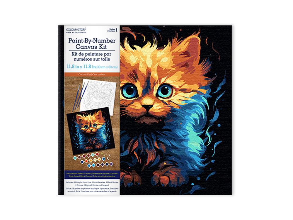 Stretch Artist Black Canvas Kit: 11.8"x11.8" PBN 280g Primed Asst  Creature Creations