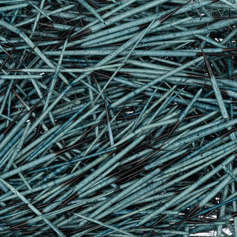 Dyed Turquoise Porcupine Quills 14g Dyed Turquoise Porcupine Quills 14g