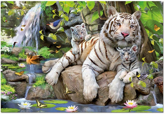 1000 pieces puzzle - White Tigers of Bengal