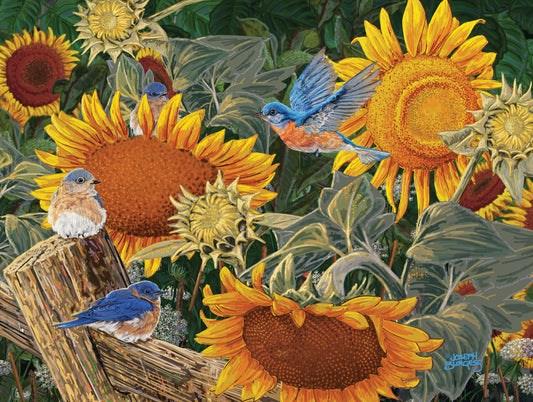 Sunflower Patch 300