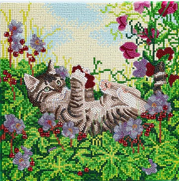 CAK-A178M: "Playful Cat" 30x30cm Crystal Art Kit 30x30cm Crystal Art Kit