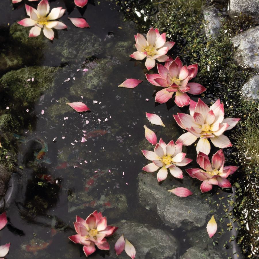 Gamers Grass Laser Plants – Lotus Flower