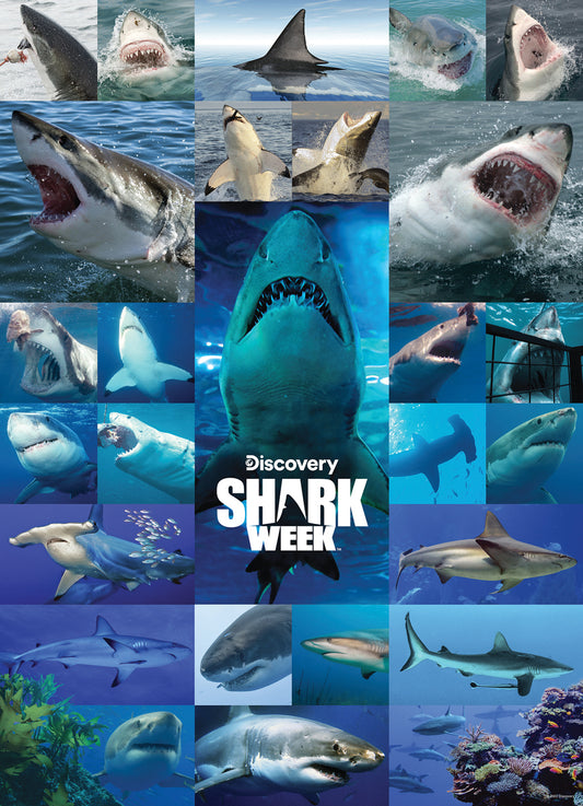 Shark Week