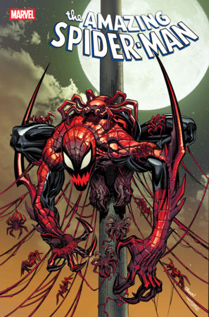 AMAZING SPIDER-MAN