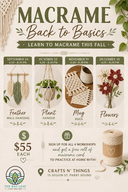 Macrame Class