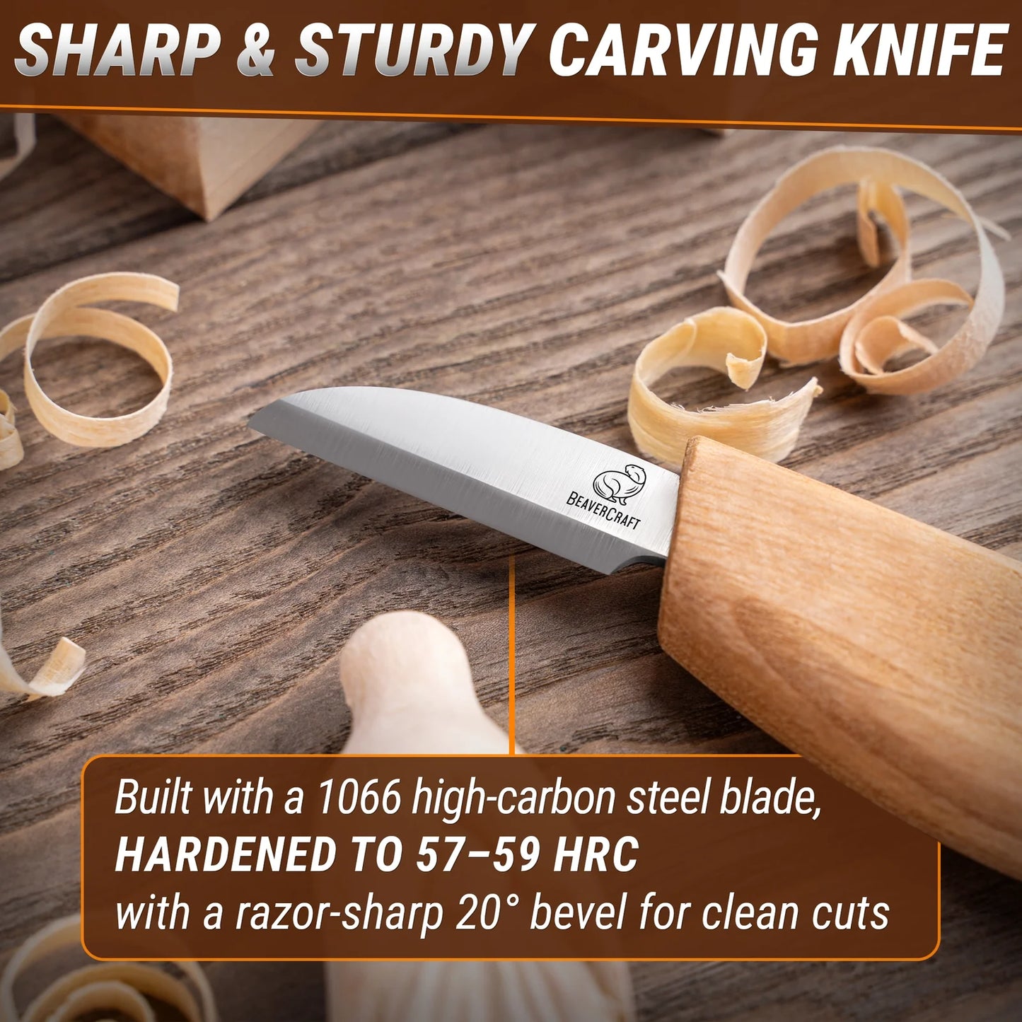 Wizard Carving Hobby Kit