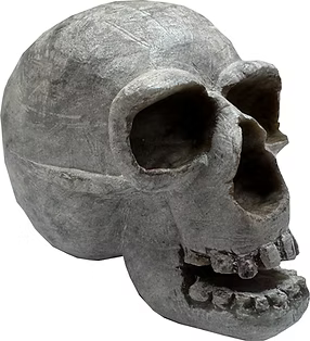 Skull Soapstone Carving Kit - Medium