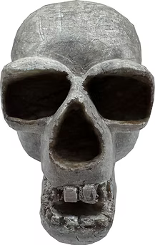 Skull Soapstone Carving Kit - Medium