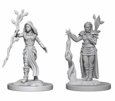 DND UNPAINTED MINIS WV2 FEMALE HUMAN DRUID