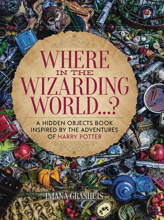 WHERE IN WIZARDING WORLD HIDDEN OBJECTS PICTURE BOOK HC