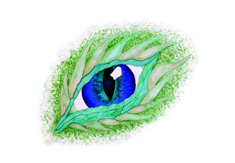 Dual Brush Pen Set, Dragons (10pk)