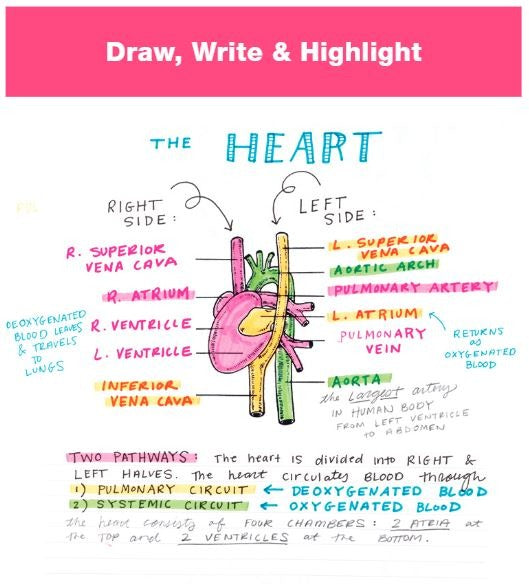 Creative Notetaking Kit