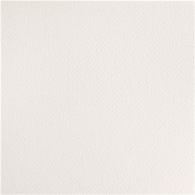 Cotman Watercolour 21ml