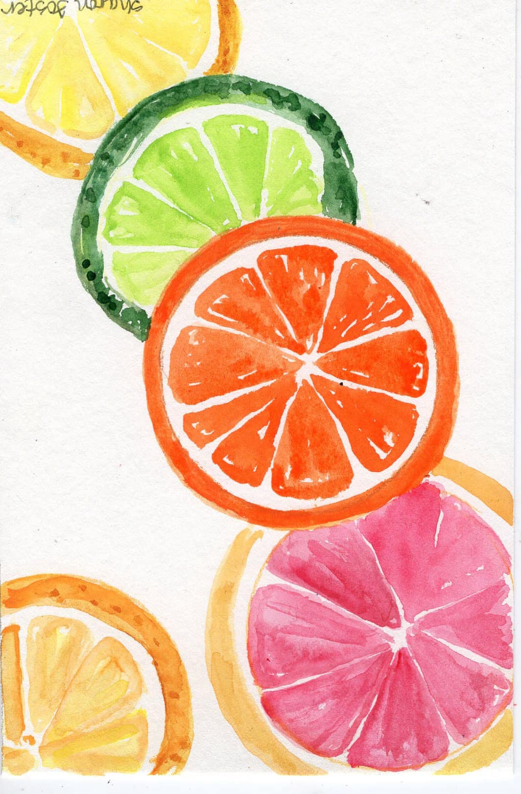 Watercolour Class February 3rd, February 10th & February 17th