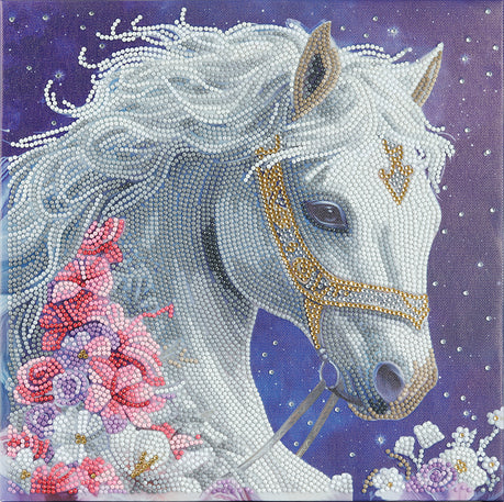 Craft Buddy Crystal Art Kit Mystic Beauty 30 x 30 cm Pre-Framed 5D Art Kit