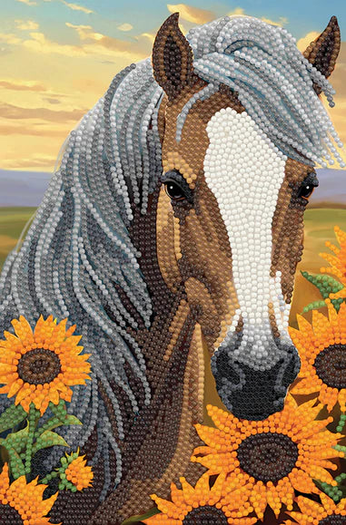 CA Notebook Kit: Sunflower Horse