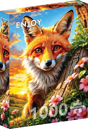 Curious Fox