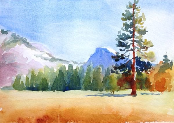 Watercolour Class February 3rd, February 10th & February 17th